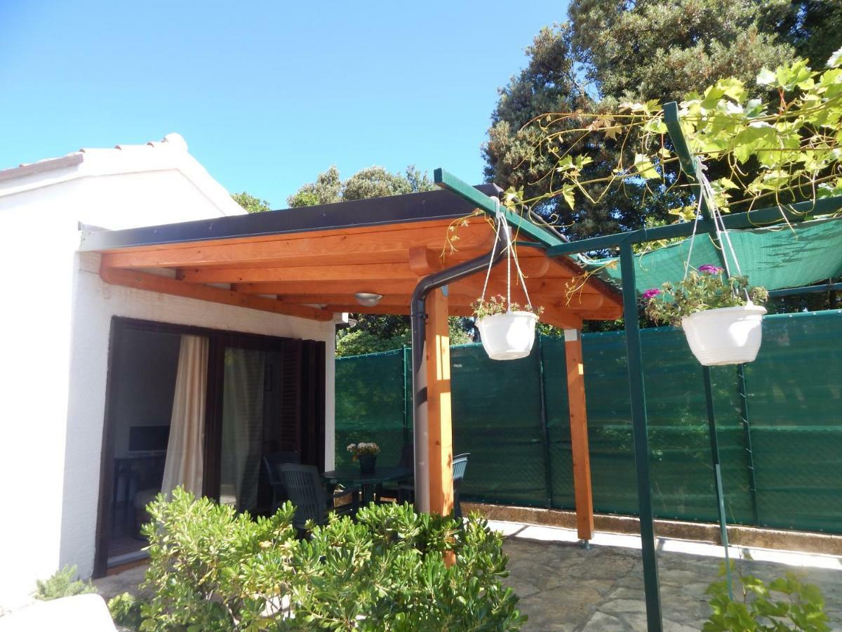 Apartman Duje Petrcane Exterior photo